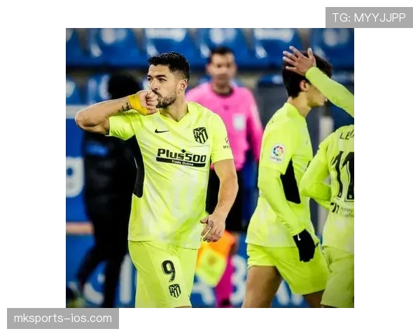 埃尔顿·布兰德内线技术提升显著挡拆效率优于同时期锋线球员